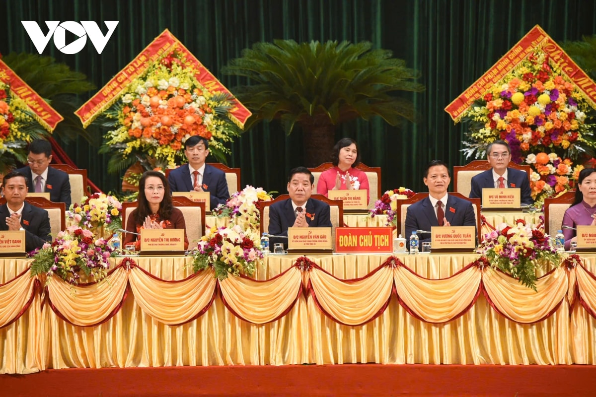 toan canh khai mac Dai hoi dai bieu Dang bo tinh bac ninh lan thu i hinh anh 3