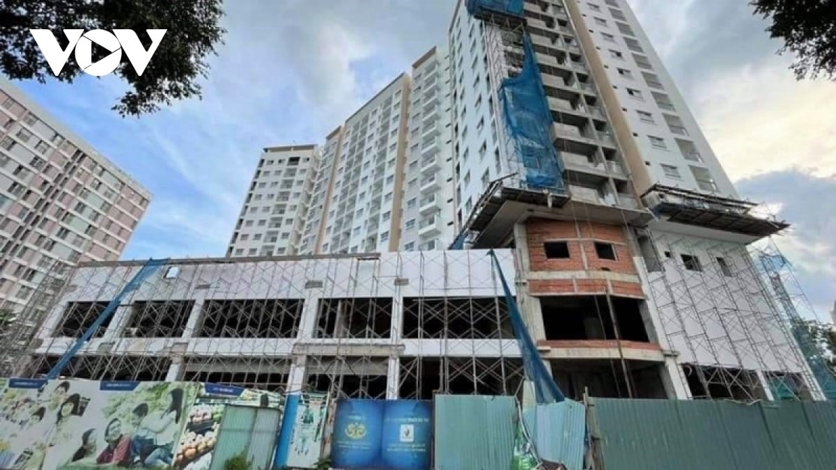 du thao nha o xa hoi noi chuan thu nhap, siet nghia vu chu dau tu hinh anh 2