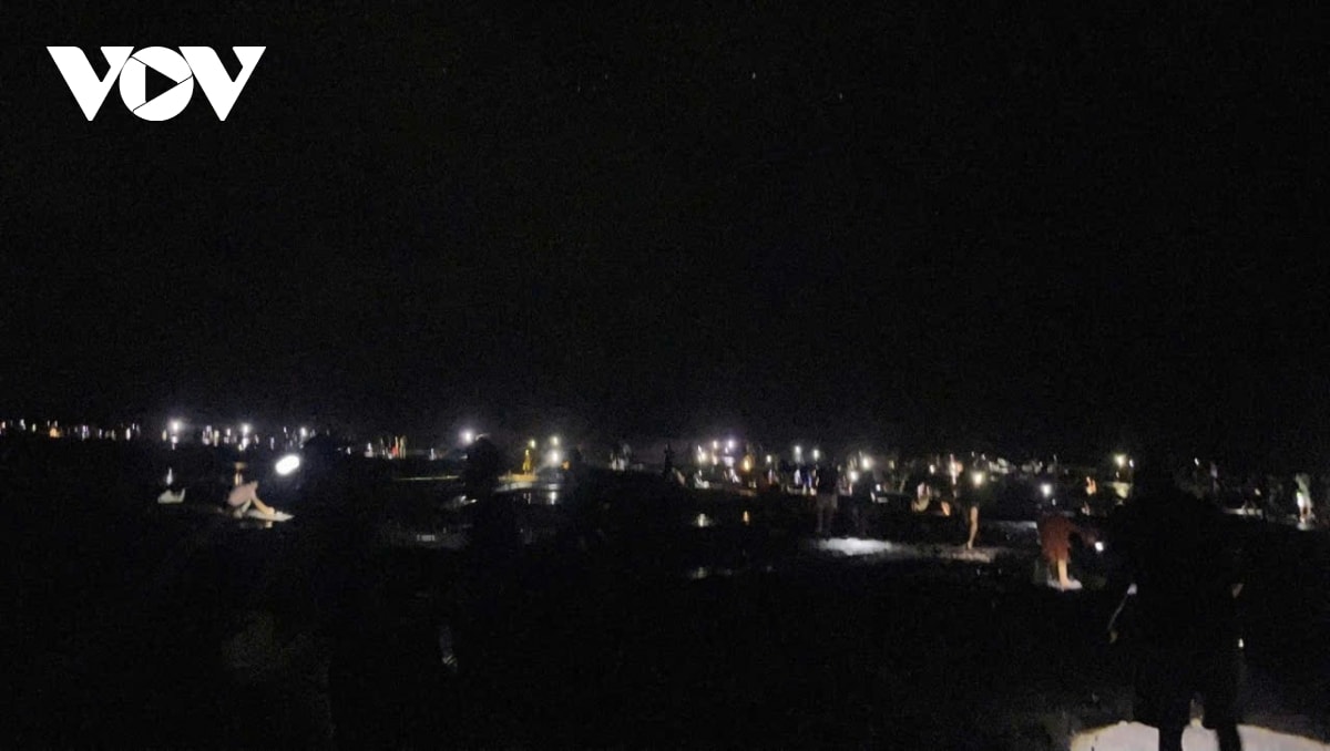 ngao tran trang bai sau bao so 10, dan ninh binh thu ve ca tan chi trong mot dem hinh anh 1