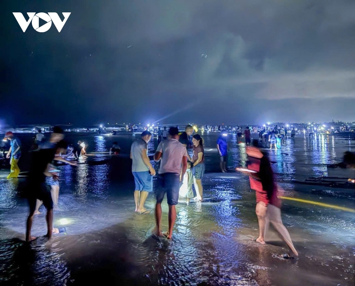 ngao tran trang bai sau bao so 10, dan ninh binh thu ve ca tan chi trong mot dem hinh anh 2