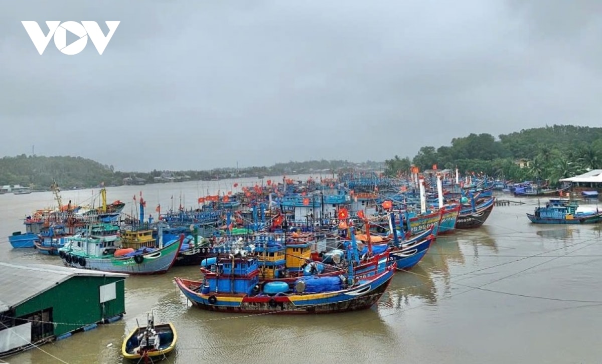 chu tau ca o quang ngai bi tuoc chung chi, phat 680 trieu dong vi nhieu vi pham hinh anh 1