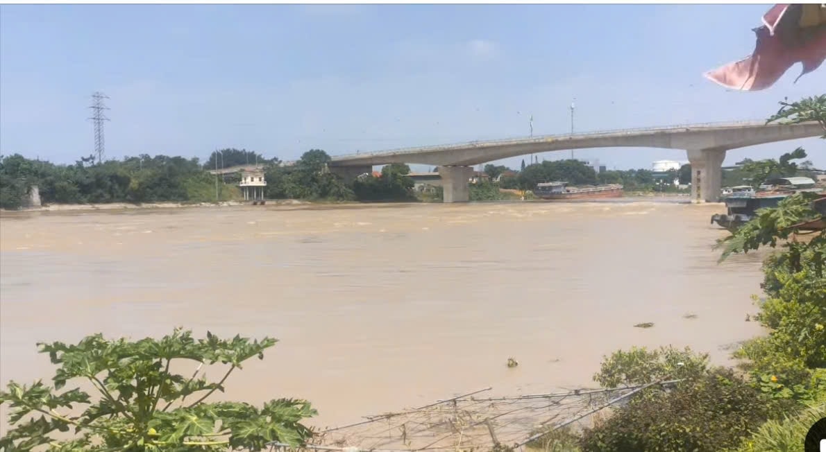 lat tau hang tren song lo gan cau viet tri, hai vo chong mat tich hinh anh 3