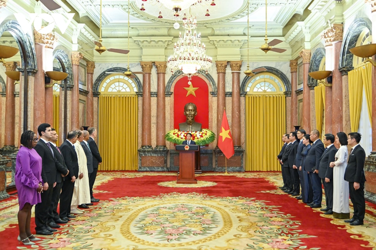 chu tich nuoc cac Dai su la cau noi vun dap quan he hop tac voi viet nam hinh anh 1