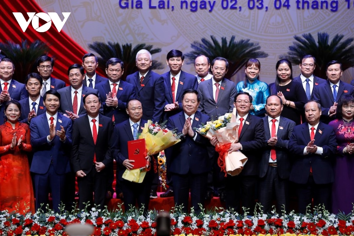 thuong tuong thai Dai ngoc giu chuc bi thu tinh uy gia lai hinh anh 1