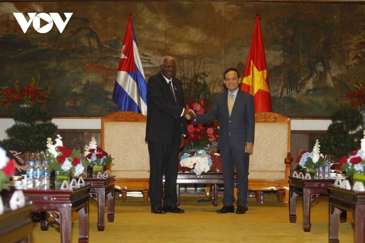 tp.hcm cam ket hop tac dau tu hieu qua voi cuba hinh anh 1