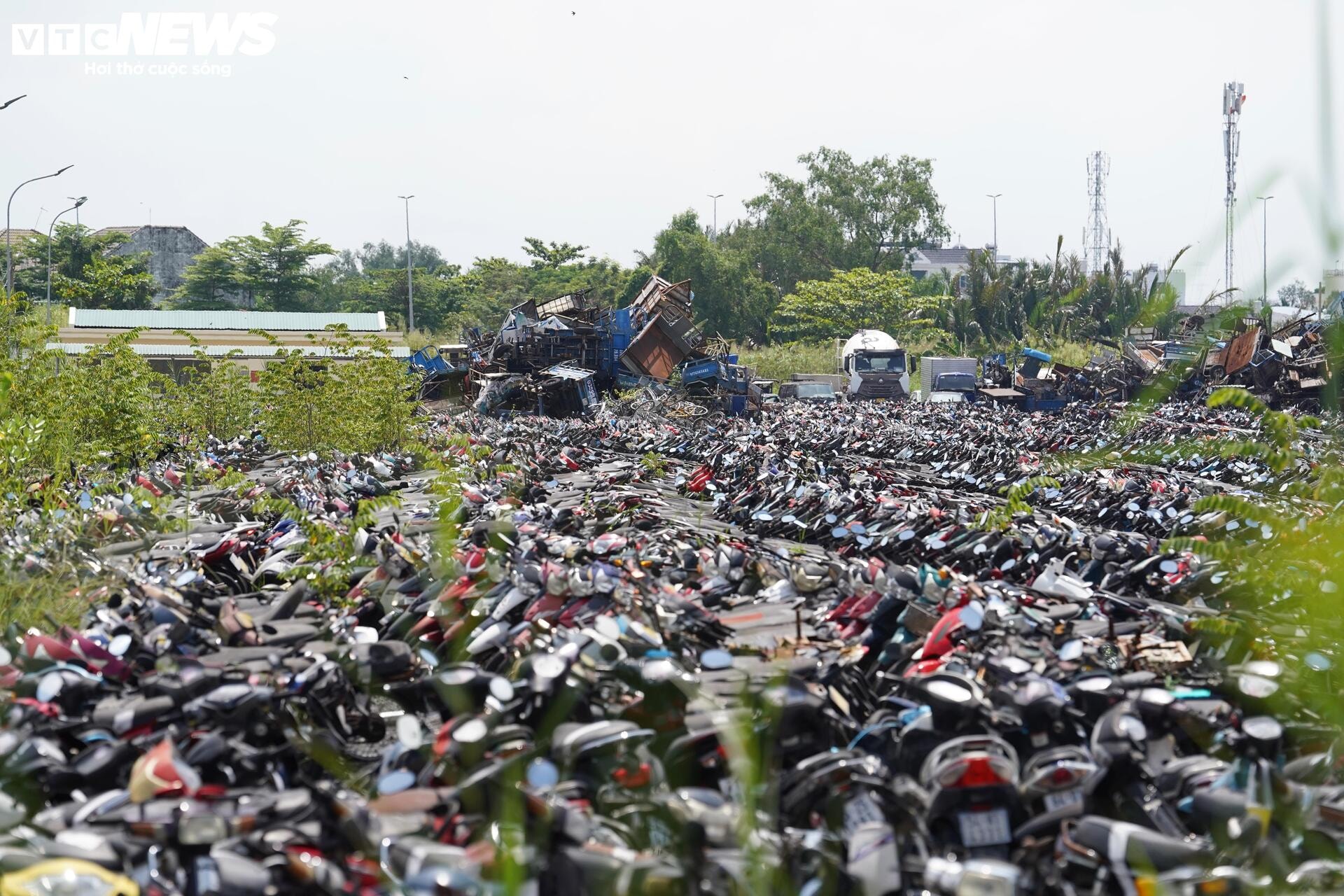 TP.HCM đấu giá thành công hơn 1.600 phương tiện vi phạm, thu hơn 3 tỷ đồng - 3