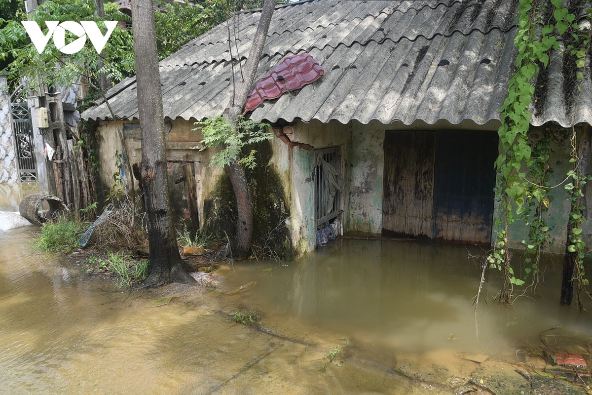nhan dan ven song bui ha noi cang minh chong choi lu chong lu hinh anh 1