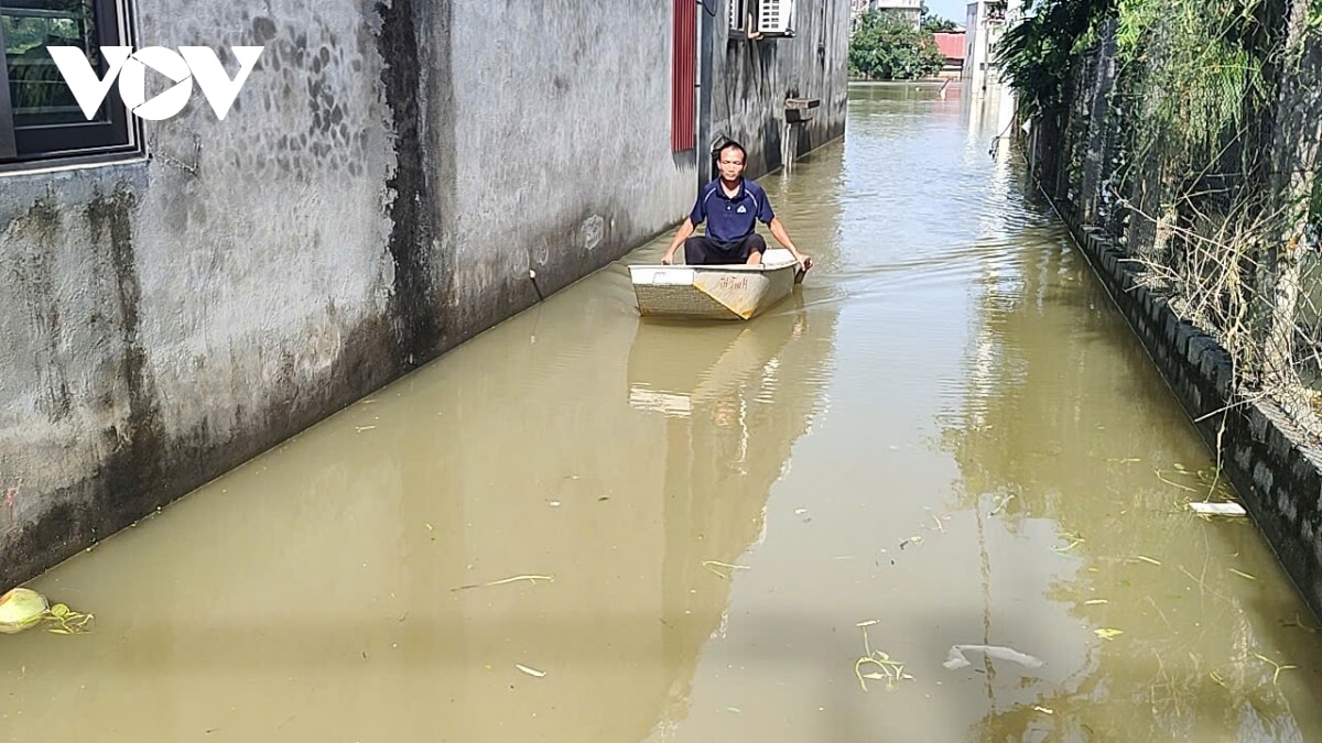 ha noi bao gio moi thoat canh mua la ngap hinh anh 4
