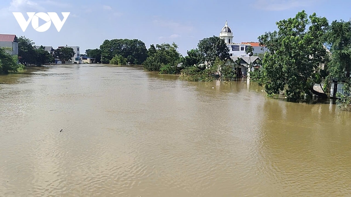 ha noi bao gio moi thoat canh mua la ngap hinh anh 2
