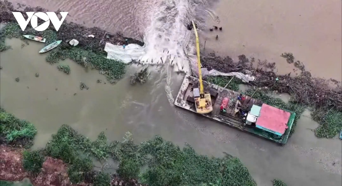 vo de o Dong thap, hang tram ha lua chim trong bien nuoc hinh anh 1