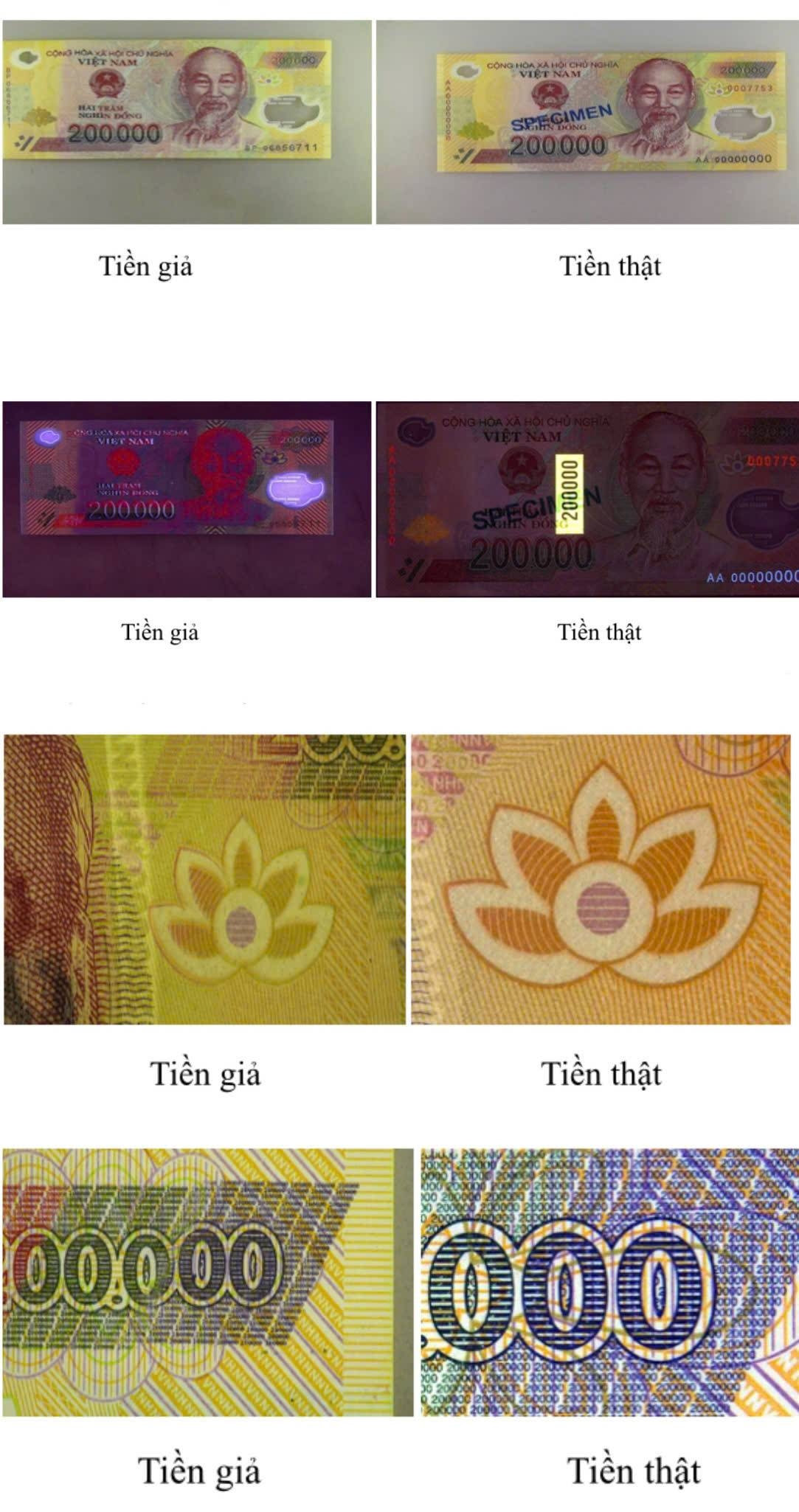 phat hien tien gia o khu vuc bien gioi cao bang hinh anh 1
