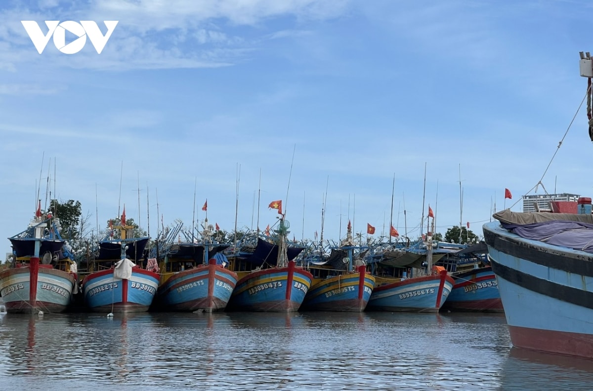 549 tàu cá của phường ven biển tphcm tìm nơi trú ẩn tránh bão kalmaegi hình ảnh 2 549 tau ca cua phuong ven bien tphcm tim noi tru an tranh bao kalmaegi hinh anh 2
