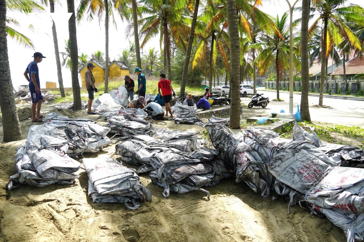 bão số 13 đang tiến gần bờ biển cửa Đại, hội an bị xói lở nghiêm trọng hình ảnh 3 bao so 13 dang tien gan bo bien cua Dai, hoi an bi xoi lo nghiem trong hinh anh 3