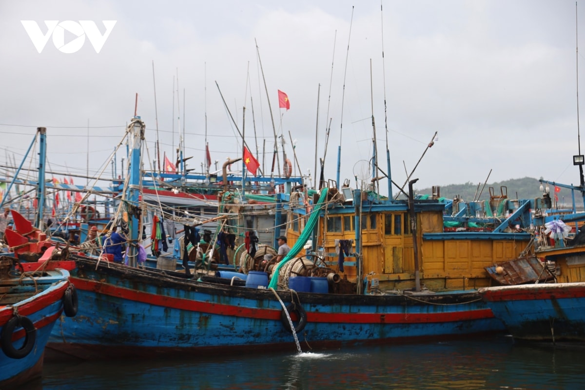 quang ngai hoan thanh di doi dan tranh bao truoc 17 gio ngay 6 11 hinh anh 10