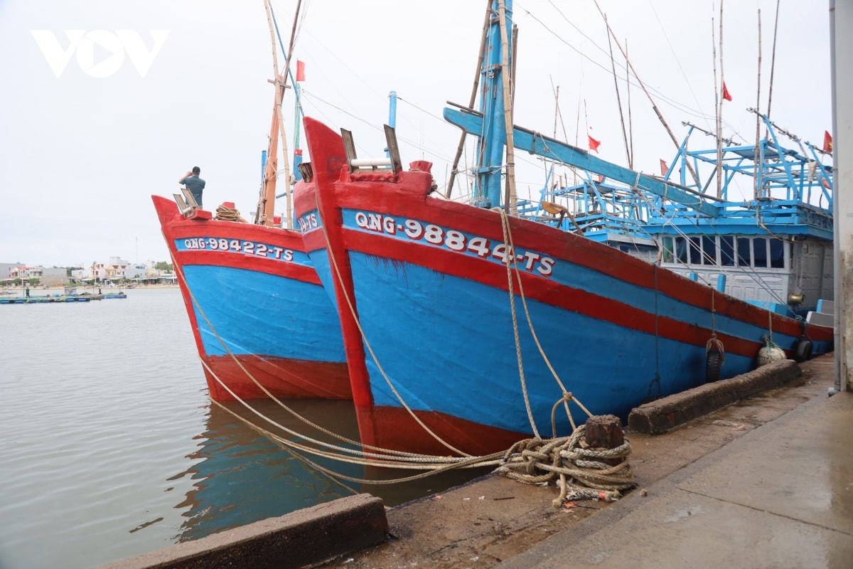 quang ngai hoan thanh di doi dan tranh bao truoc 17 gio ngay 6 11 hinh anh 8