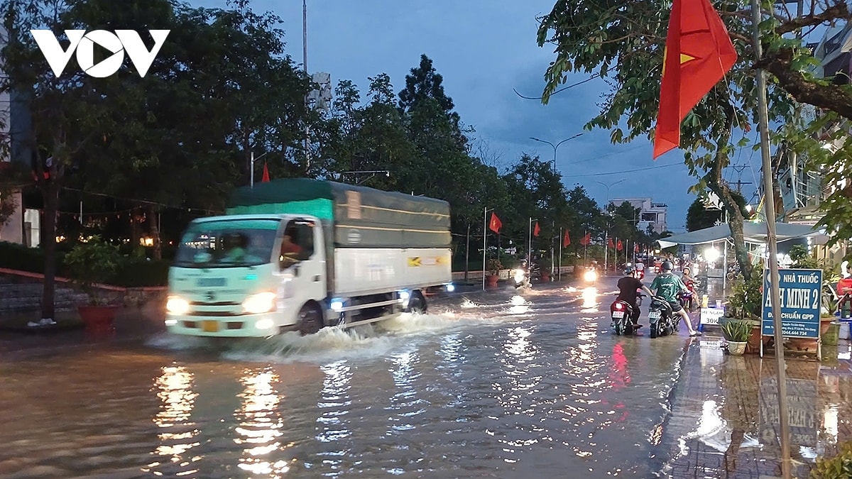 trieu cuong tai tinh Dong thap dang cao gay ngap nuoc tren dien rong hinh anh 3