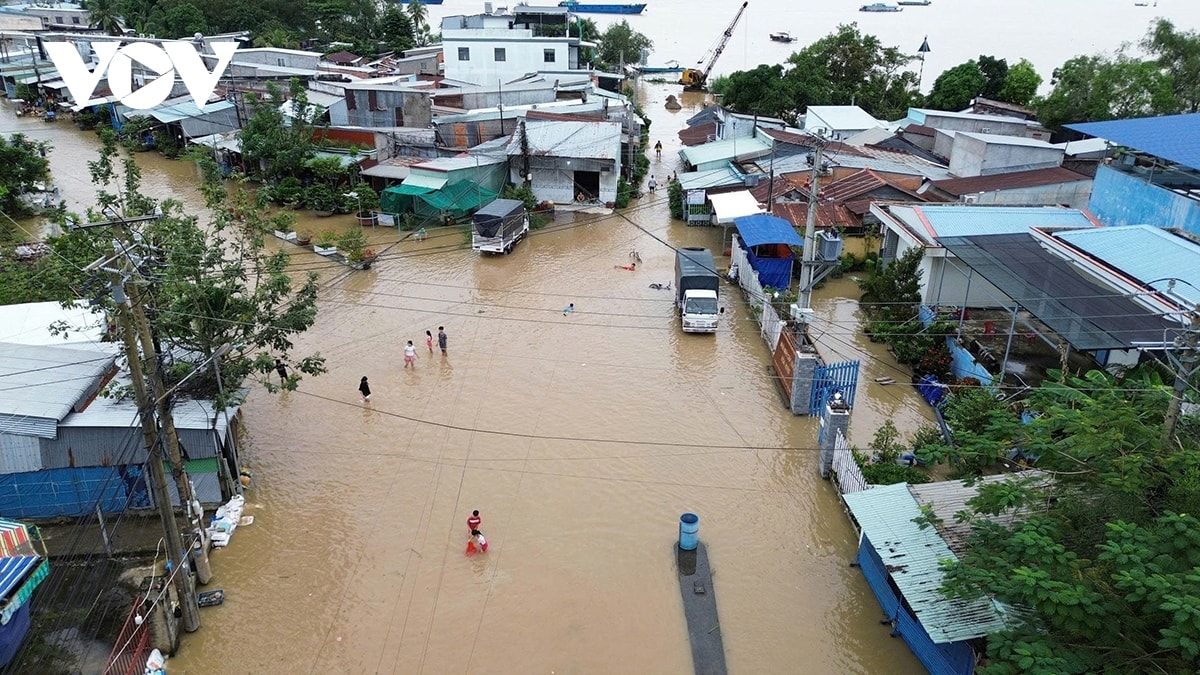 trieu cuong tai tinh Dong thap dang cao gay ngap nuoc tren dien rong hinh anh 2