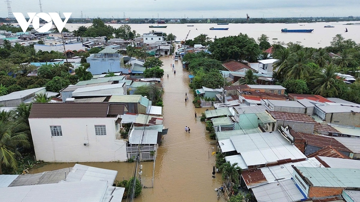 trieu cuong tai tinh Dong thap dang cao gay ngap nuoc tren dien rong hinh anh 1