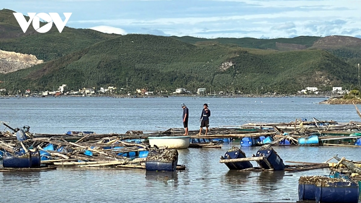 khoanh no, giam lai suat cho ba con nuoi thuy san bi anh huong bao so 13 hinh anh 1