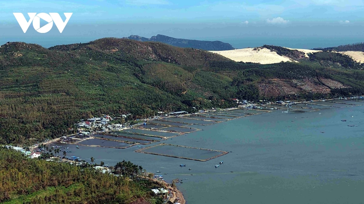 khoanh no, giam lai suat cho ba con nuoi thuy san bi anh huong bao so 13 hinh anh 2