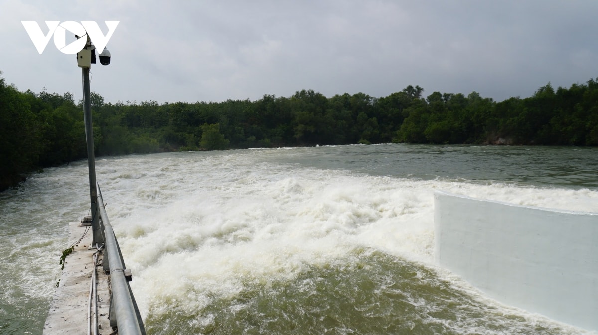 tay ninh phat tin khan cap ve lu tren cac song vam co Dong, vam co tay hinh anh 2