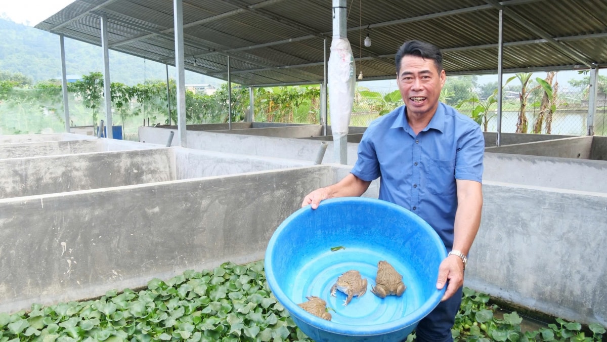 chuyen nhung dang vien tien phong khong cho dat nghi o ron lu lao cai hinh anh 4