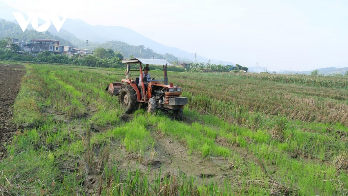 chuyen nhung dang vien tien phong khong cho dat nghi o ron lu lao cai hinh anh 3