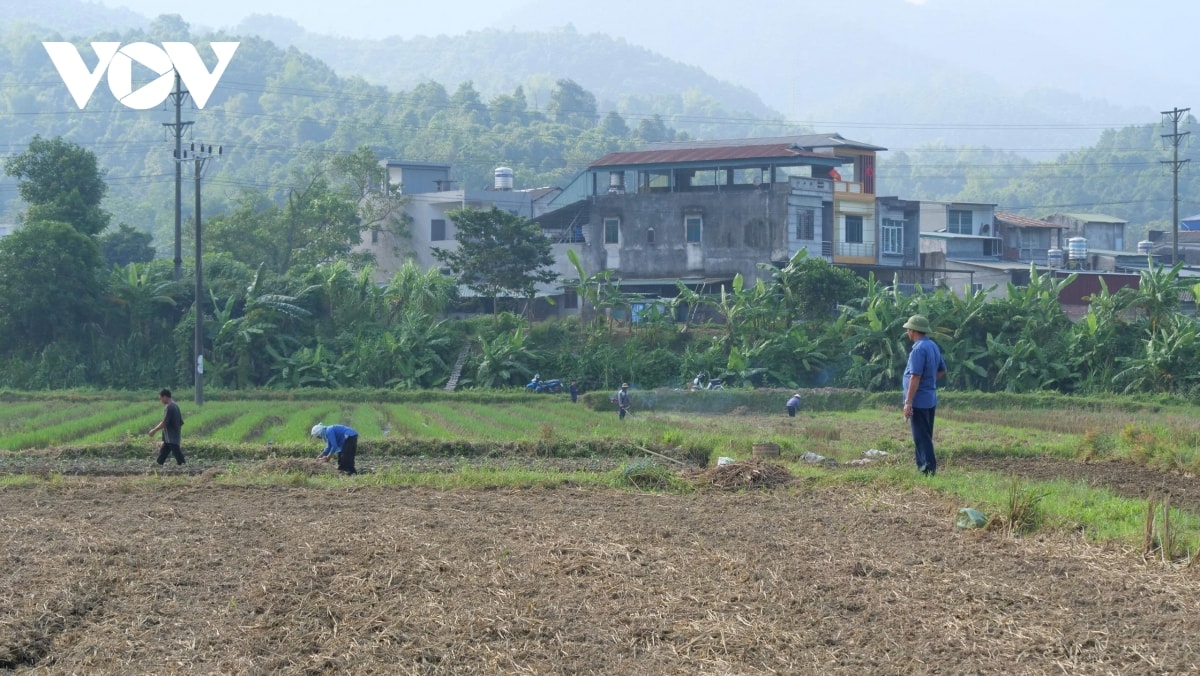 chuyen nhung dang vien tien phong khong cho dat nghi o ron lu lao cai hinh anh 1