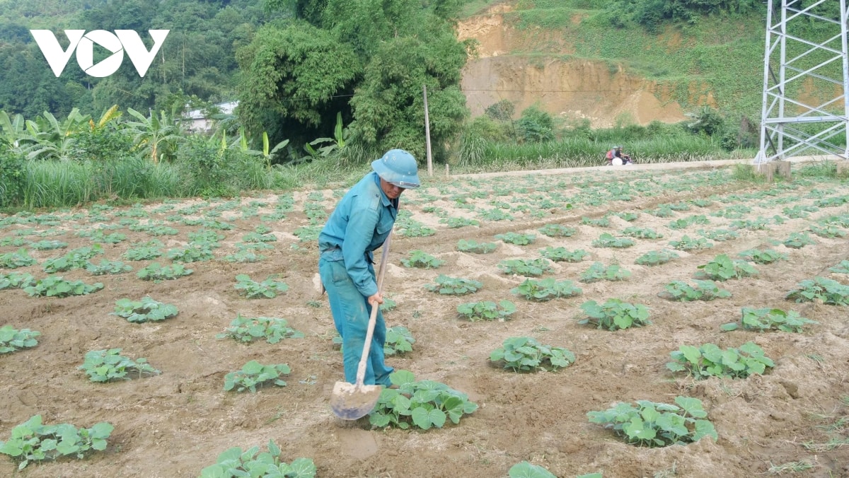 chuyen nhung dang vien tien phong khong cho dat nghi o ron lu lao cai hinh anh 2