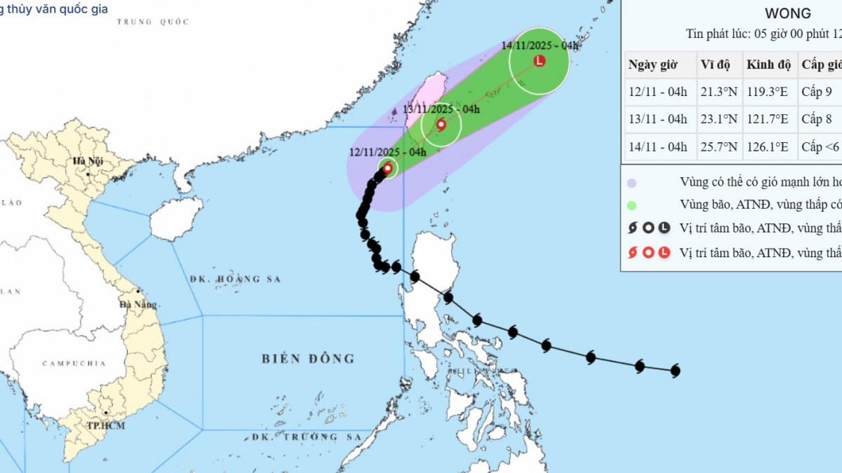 bao so 14 suy yeu thanh mot vung ap thap hinh anh 1