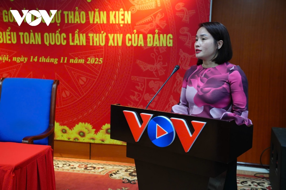 hoi nghi gop y du thao van kien Dai hoi xiv cua Dang tai vov hinh anh 15