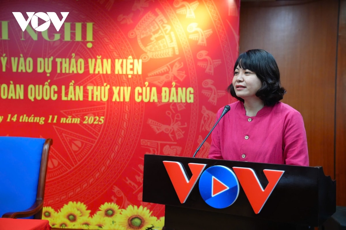 hoi nghi gop y du thao van kien Dai hoi xiv cua Dang tai vov hinh anh 13
