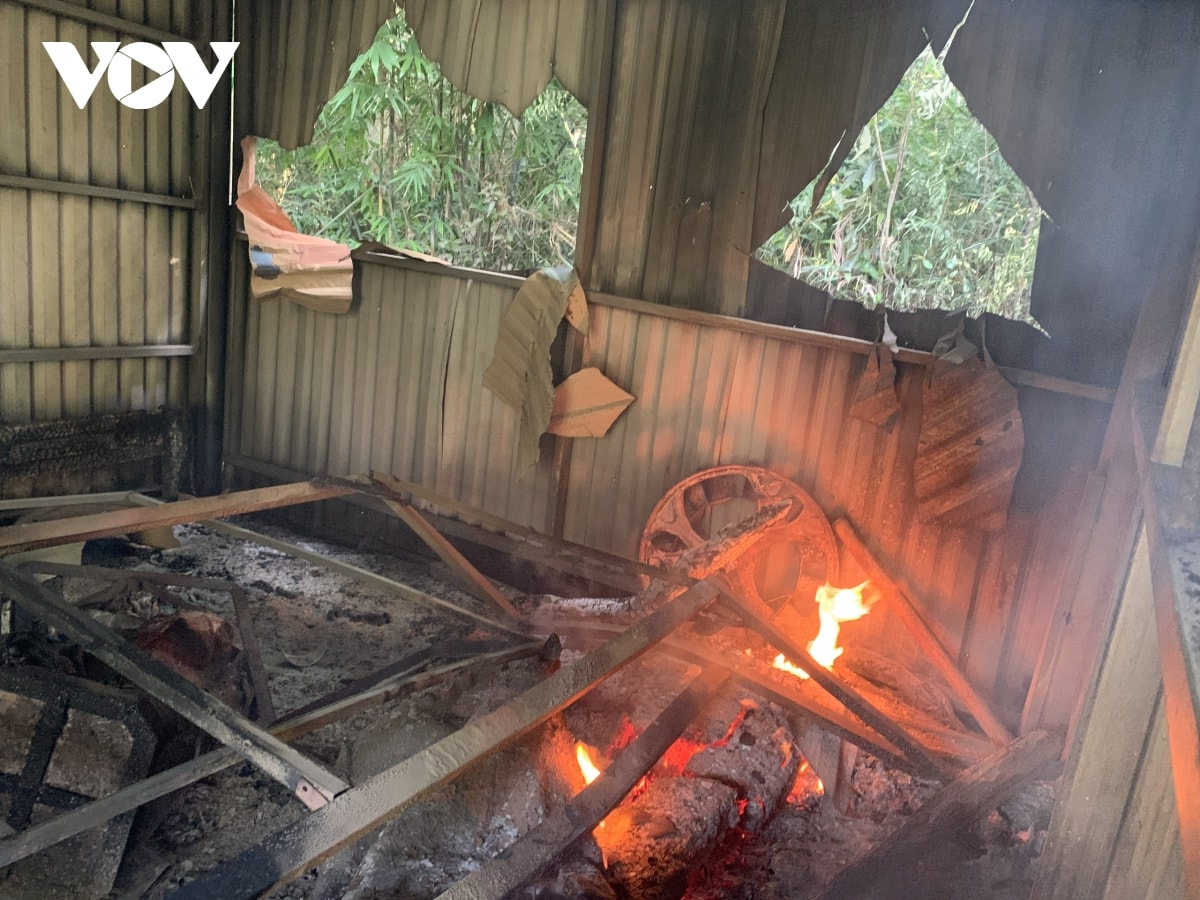 chot bao ve rung bi dot pha sau khi cuong che nho ca phe tren dat rung lan chiem hinh anh 1