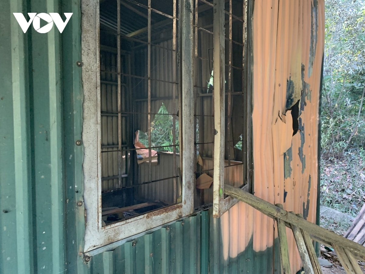 chot bao ve rung bi dot pha sau khi cuong che nho ca phe tren dat rung lan chiem hinh anh 2