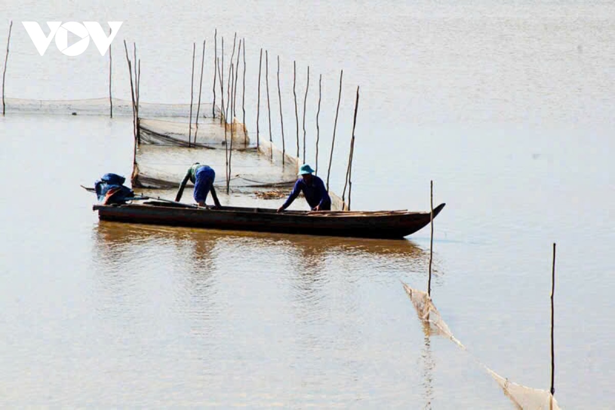 nuoc mam ca linh, huong vi dac trung mua nuoc noi o mien tay hinh anh 15