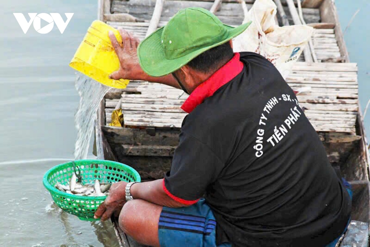 nuoc mam ca linh, huong vi dac trung mua nuoc noi o mien tay hinh anh 7