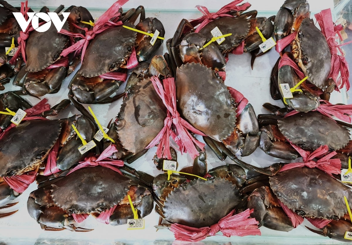 cua cà mau - từ đặc sản sinh thái đến ngành kinh tế mũi nhọn hình ảnh 3 cua ca mau - tu dac san sinh thai den nganh kinh te mui nhon hinh anh 3