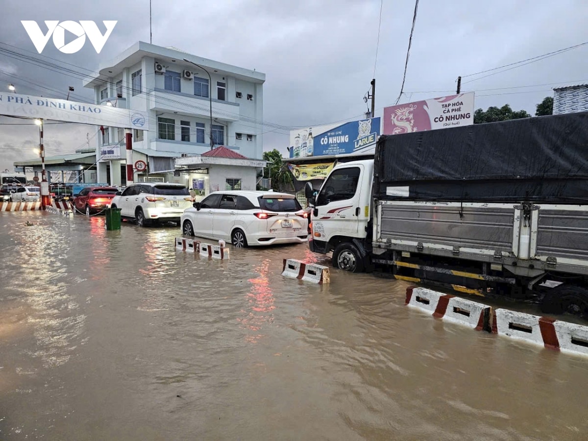 vinh long canh bao trieu cuong dang cao co kha nang gay ngap nhieu noi hinh anh 1