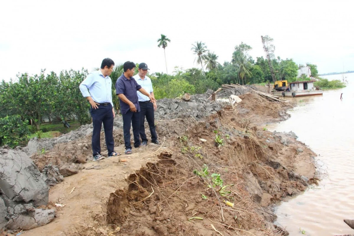 vinh long canh bao trieu cuong dang cao co kha nang gay ngap nhieu noi hinh anh 2