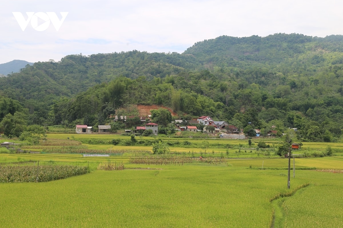 thi đua yêu nước từ những việc bình dị mỗi ngày ở vùng cao thái nguyên hình ảnh 3 thi dua yeu nuoc tu nhung viec binh di moi ngay o vung cao thai nguyen hinh anh 3