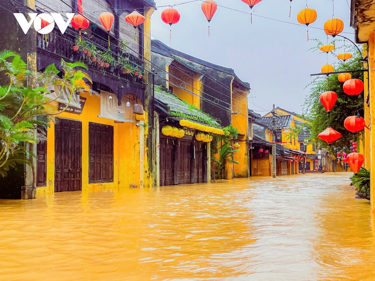 pho co hoi an ngap tro lai hinh anh 13