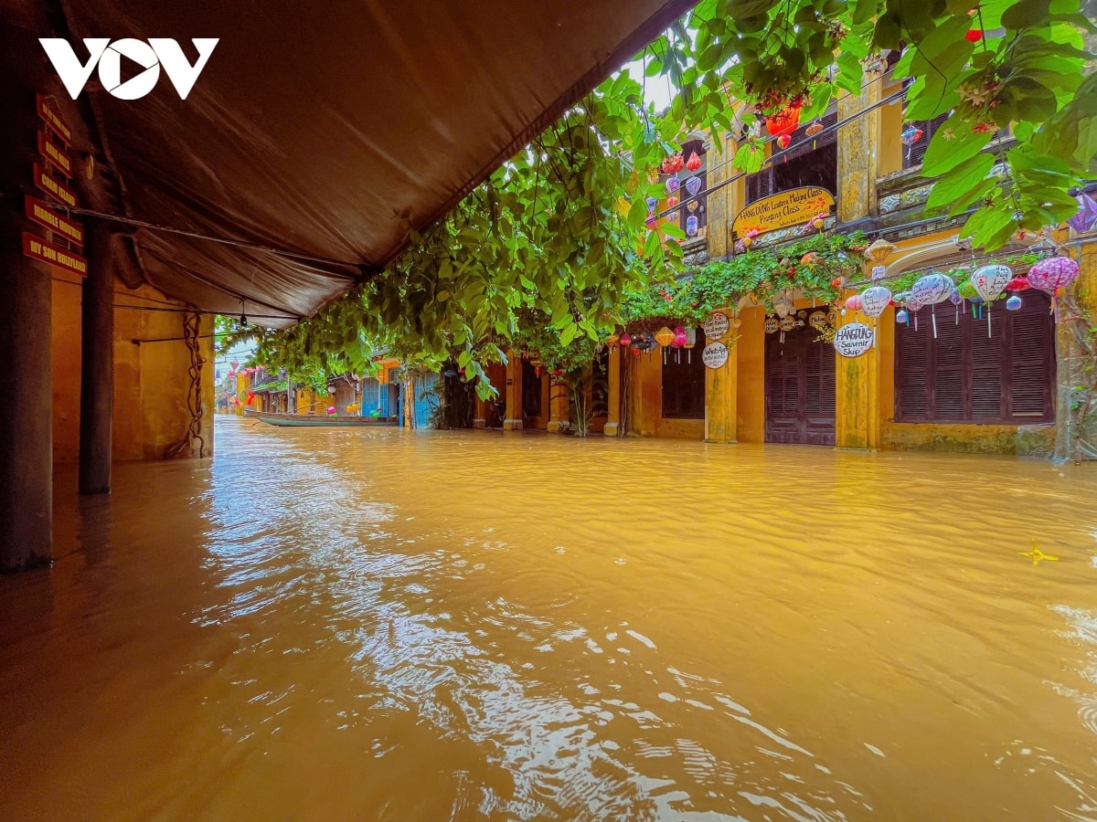 pho co hoi an ngap tro lai hinh anh 14