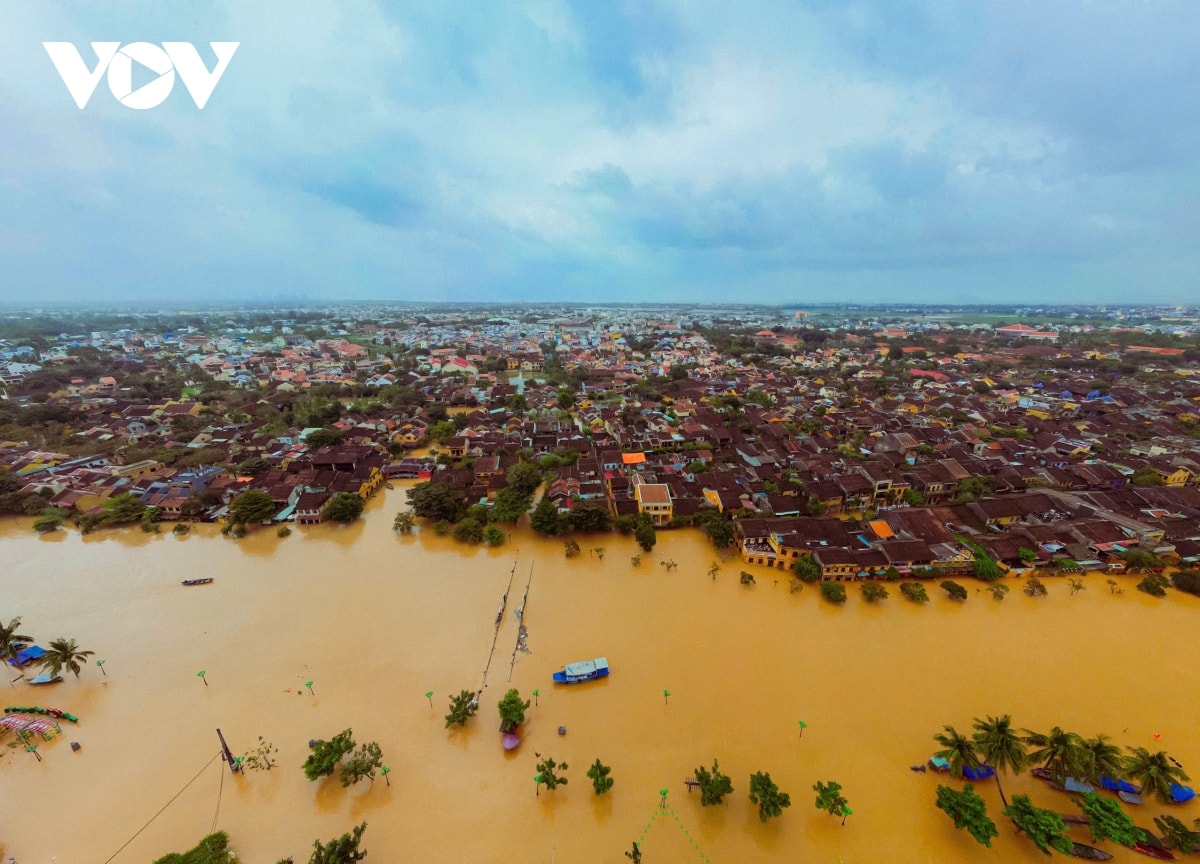 pho co hoi an ngap tro lai hinh anh 1
