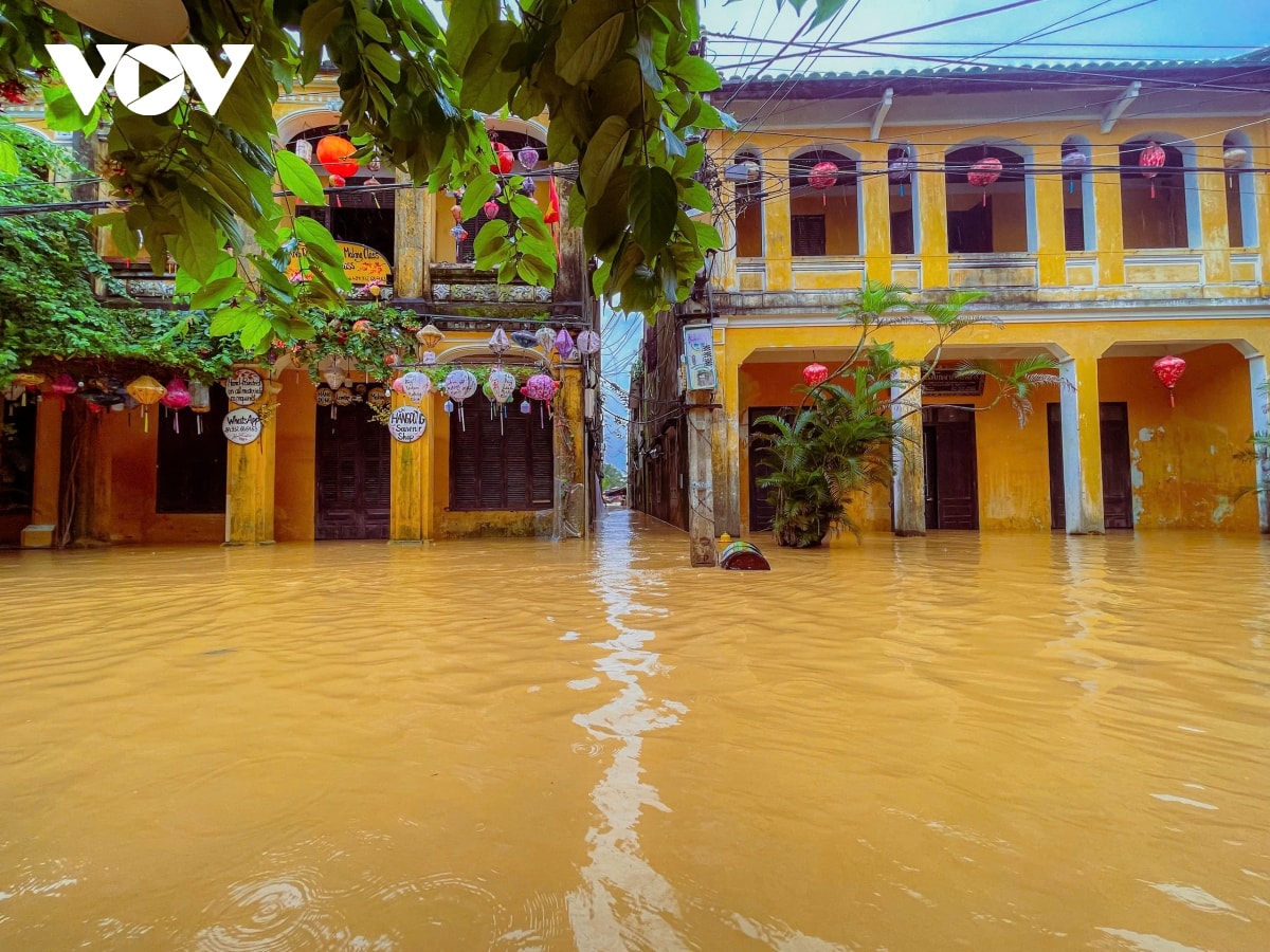 pho co hoi an ngap tro lai hinh anh 2