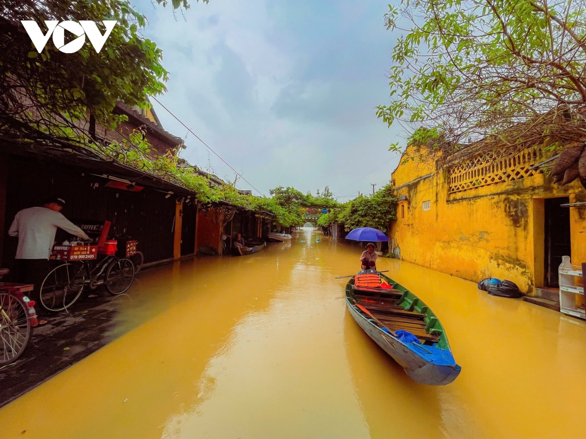 pho co hoi an ngap tro lai hinh anh 4