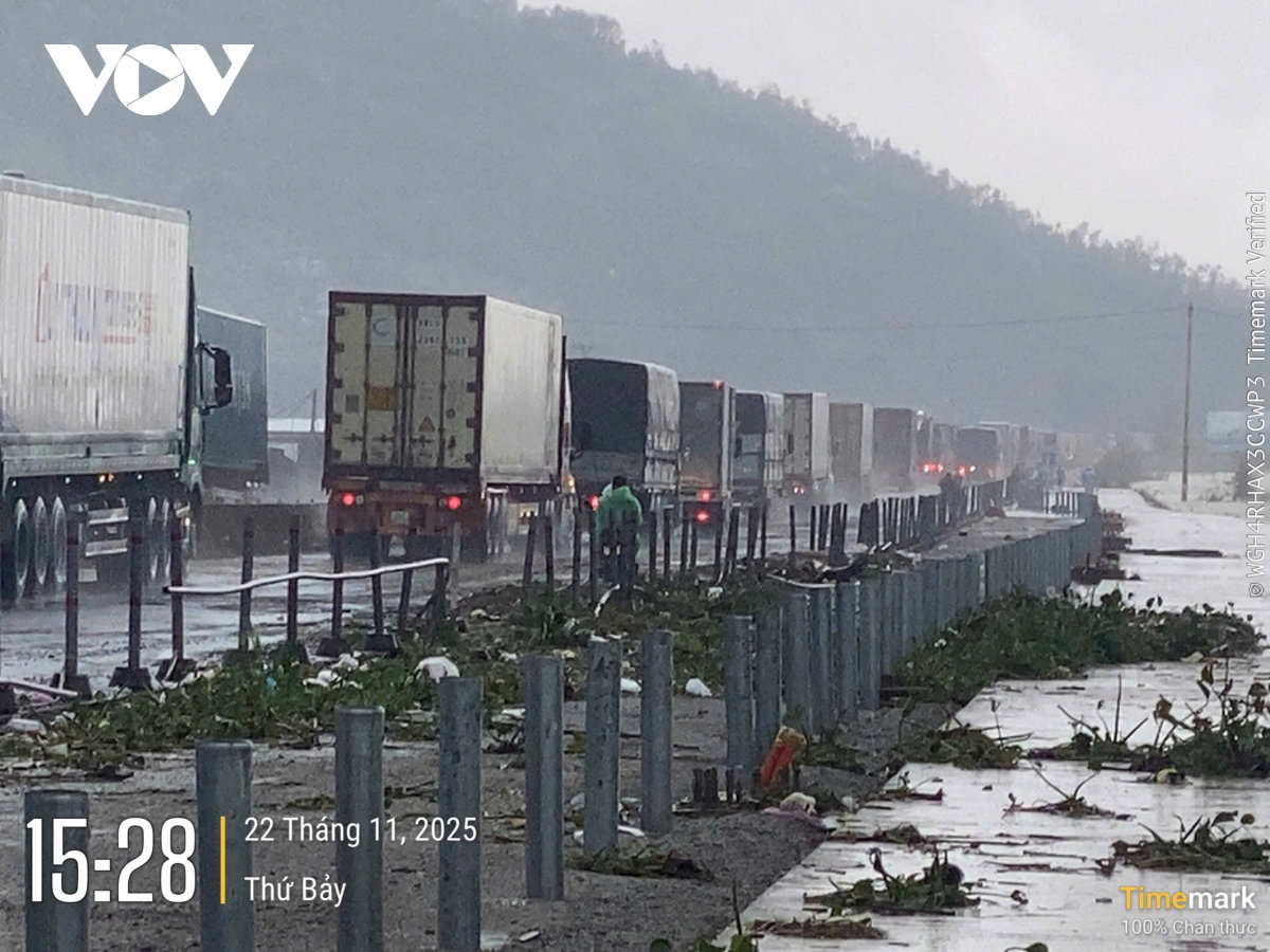 hon 60 diem sat lo tren tuyen duong sat bac - nam, duong qua mien trung van tac hinh anh 5