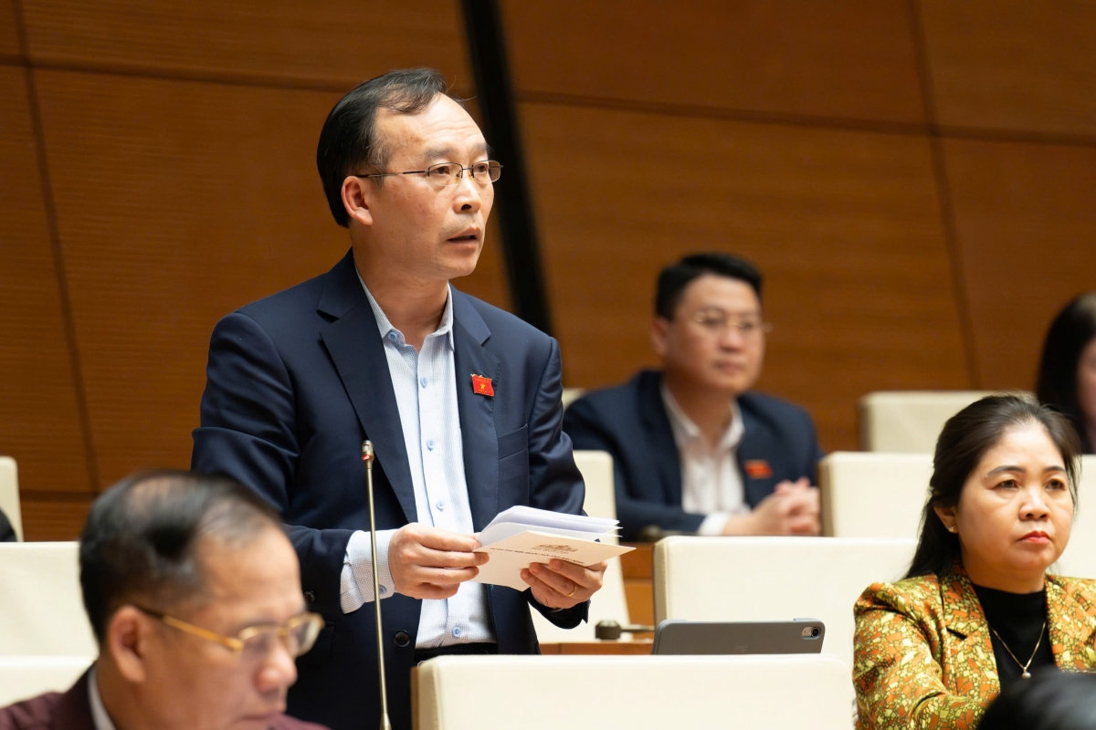 Dbqh xu ly hanh vi tra thu, bao ve nguoi to cao tu thong tin den tinh mang hinh anh 2