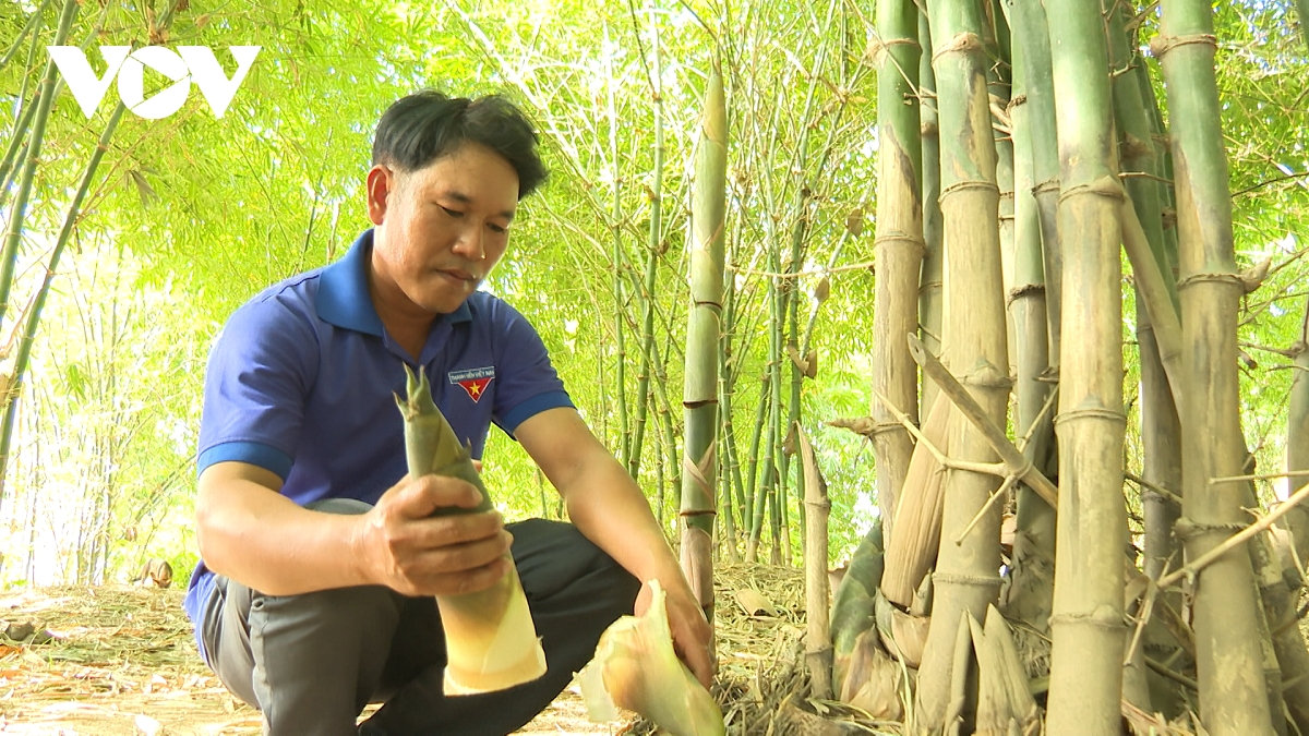 những đảng viên tiên phong dẫn đường làm kinh tế hình ảnh 2 nhung dang vien tien phong dan duong lam kinh te hinh anh 2