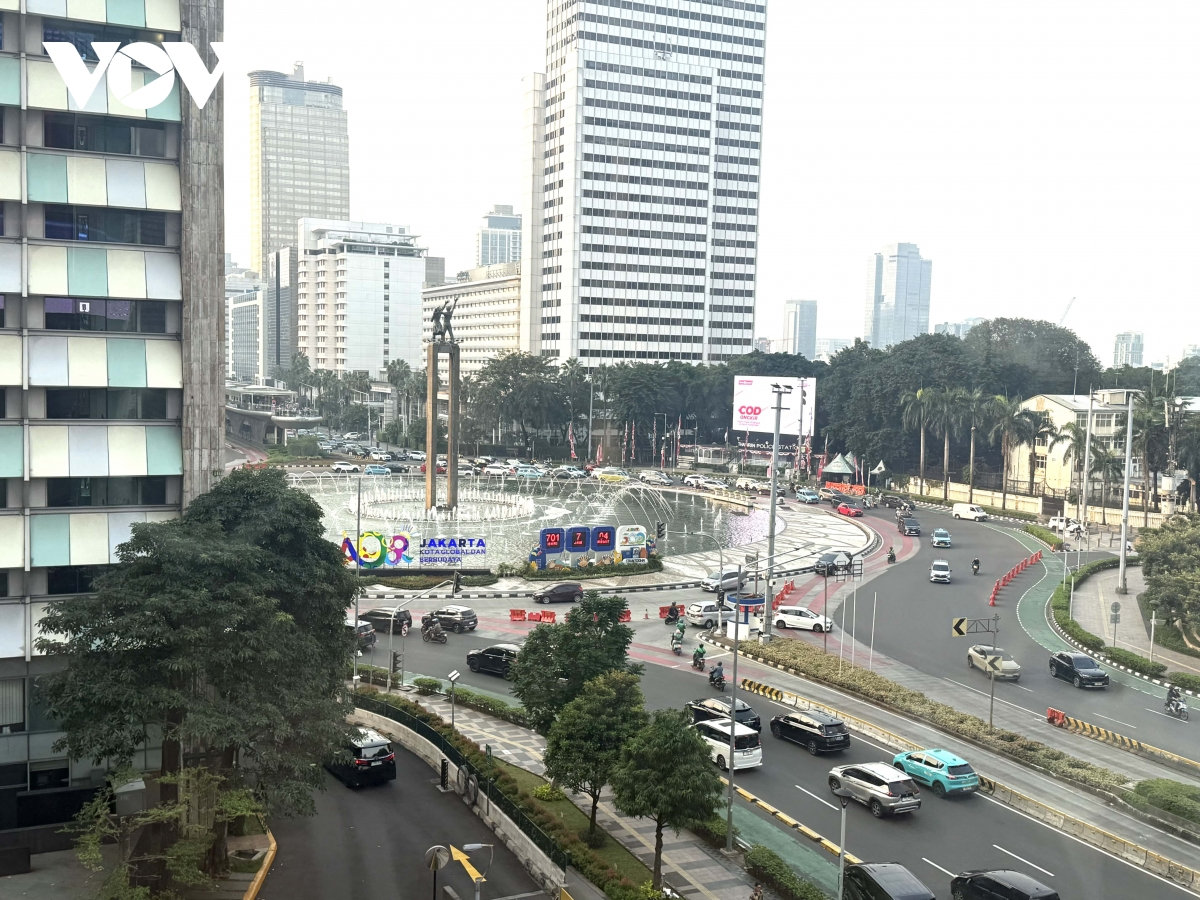 2 trieu nguoi mac benh duong ho hap do khong khi o nhiem o indonesia hinh anh 1
