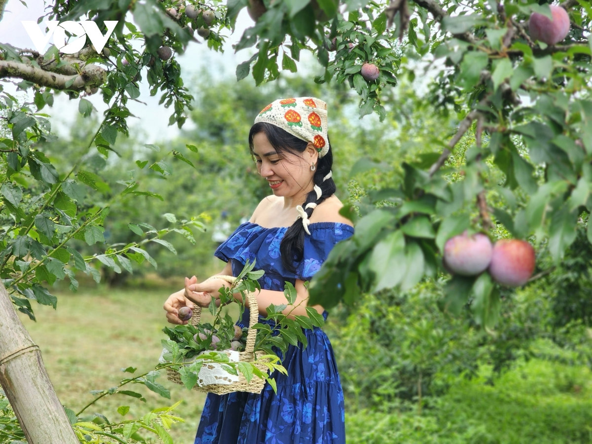 moc chau lan 3 duoc vinh danh Diem den thien nhien khu vuc hang dau the gioi hinh anh 4